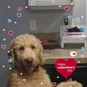 Meet your Posher, Moe